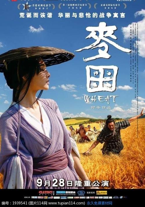怎么买假的中国农业银行支票